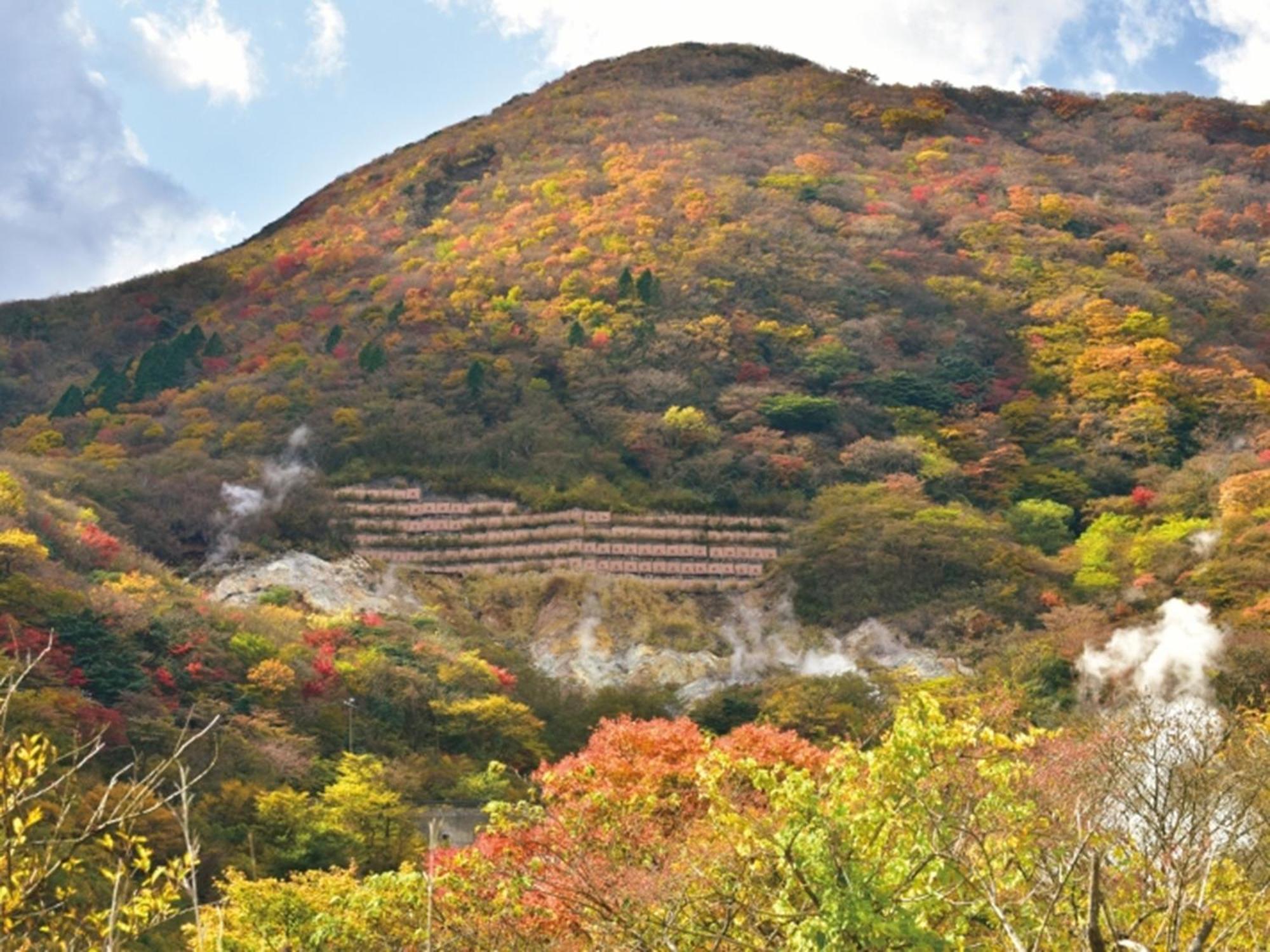 Hakone Yunohana Prince Hotel Kanagawa Exterior photo