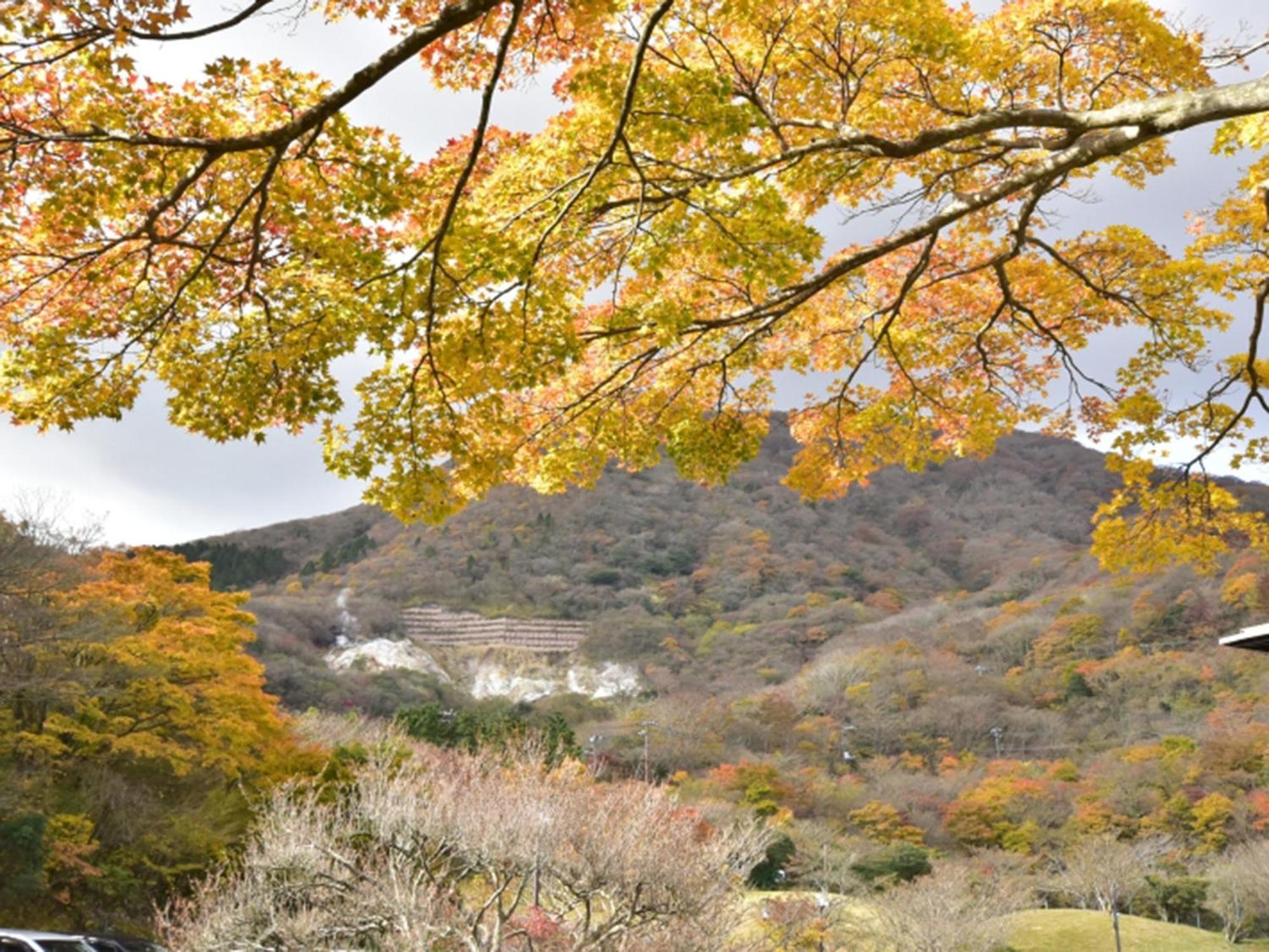 Hakone Yunohana Prince Hotel Kanagawa Exterior photo