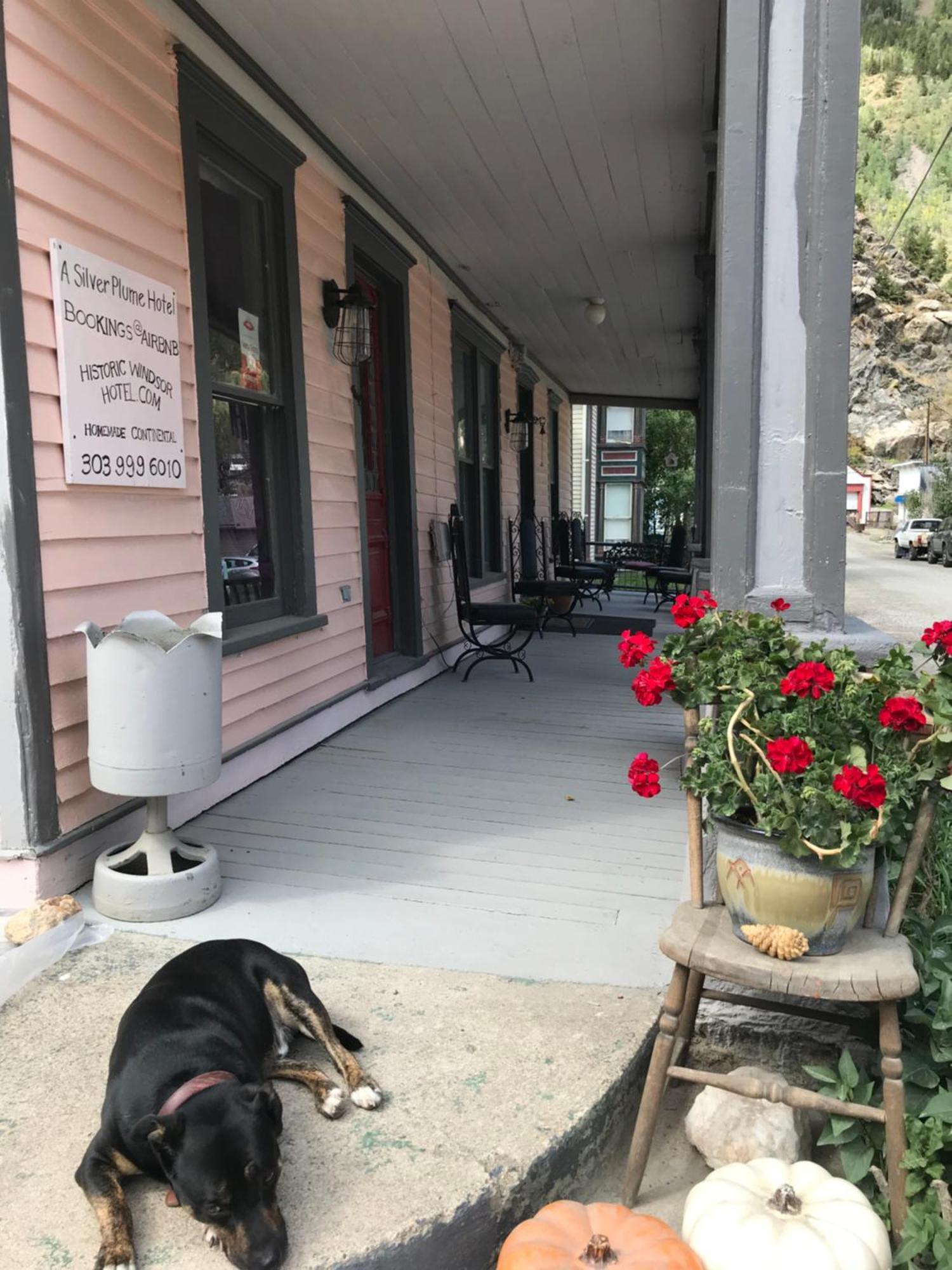 Historic Windsor Bed & Breakfast Silver Plume Exterior photo