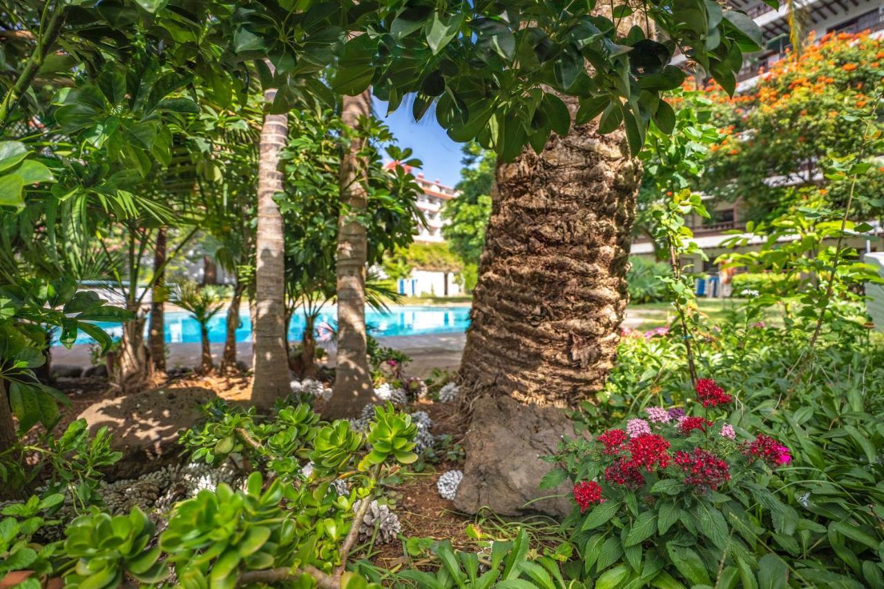 Coral Teide Mar Aparthotel Puerto de la Cruz  Exterior photo