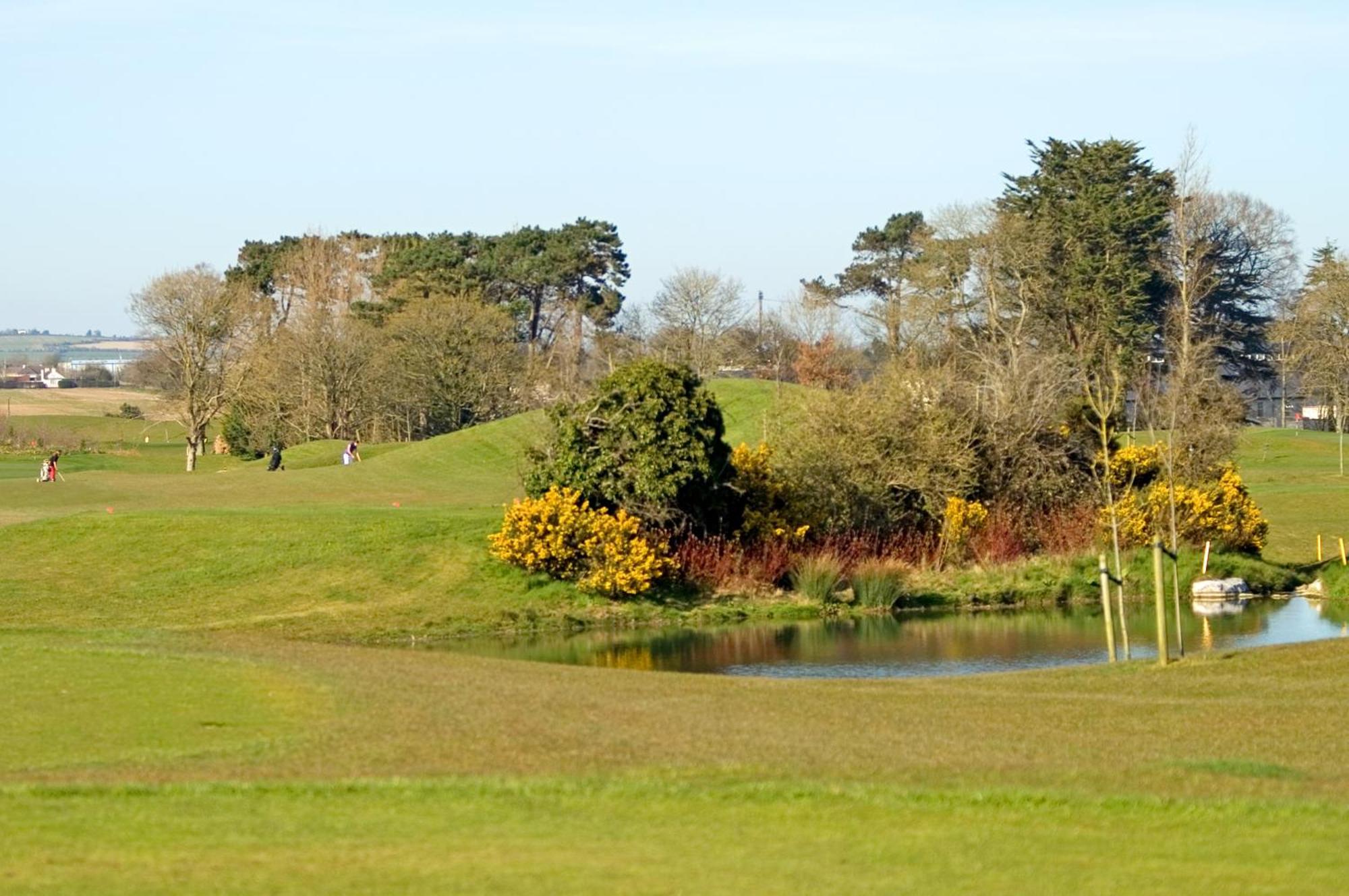 Roganstown Hotel & Country Club Swords Exterior photo