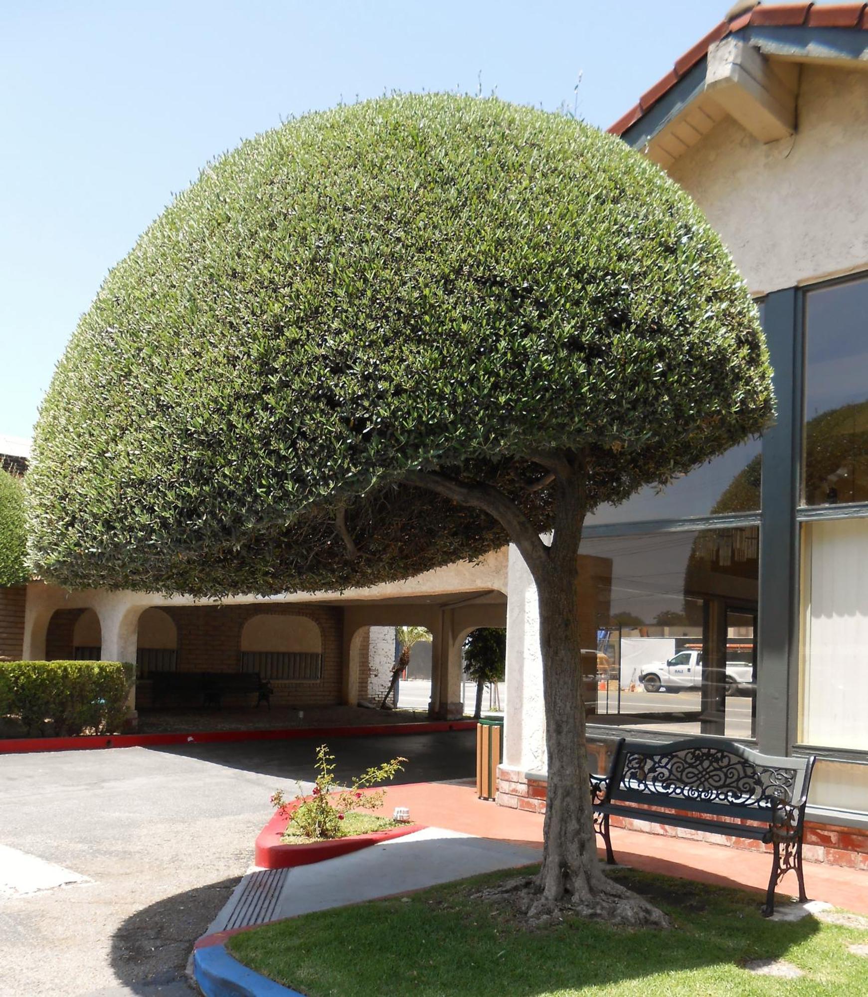 Vagabond Inn Glendale Exterior photo