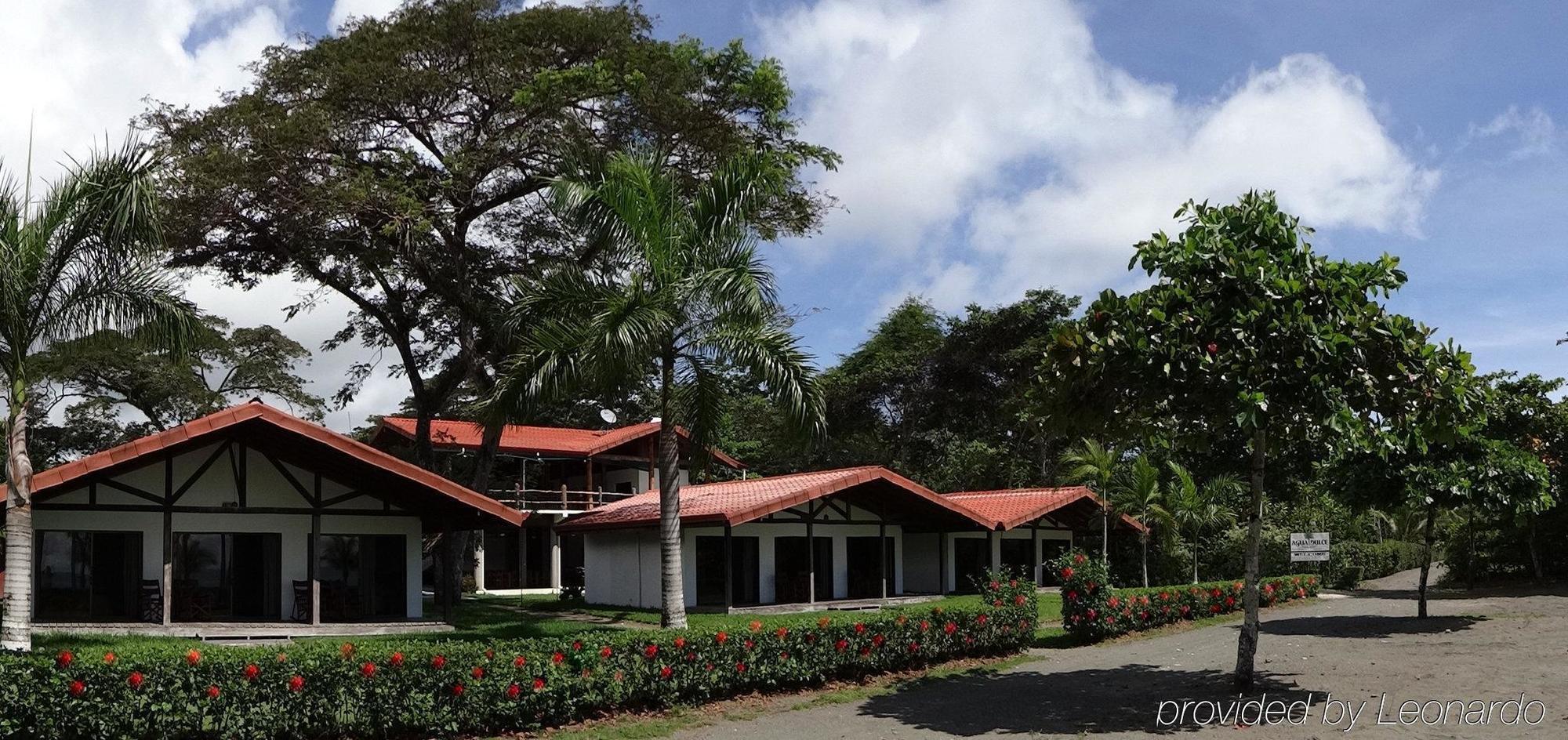 Agua Dulce Beach Resort Puerto Jimenez Exterior photo