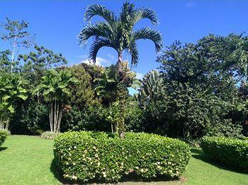 Hotel Villas Vilma La Fortuna Exterior photo