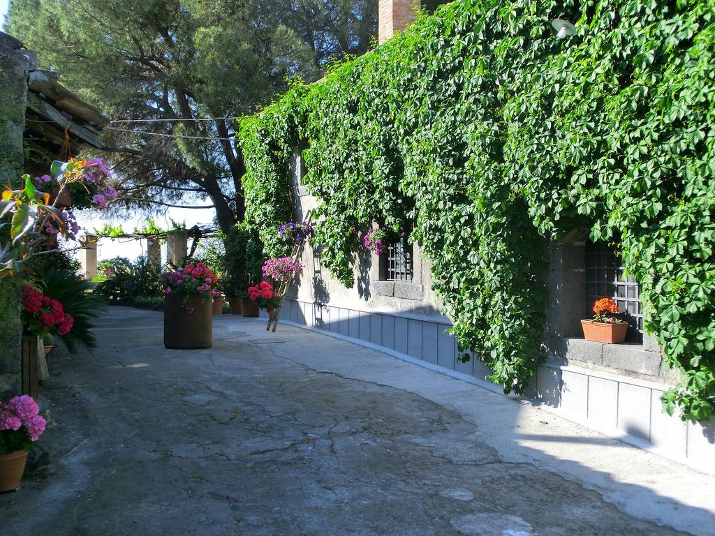 Il Limoneto Acireale Villa Exterior photo