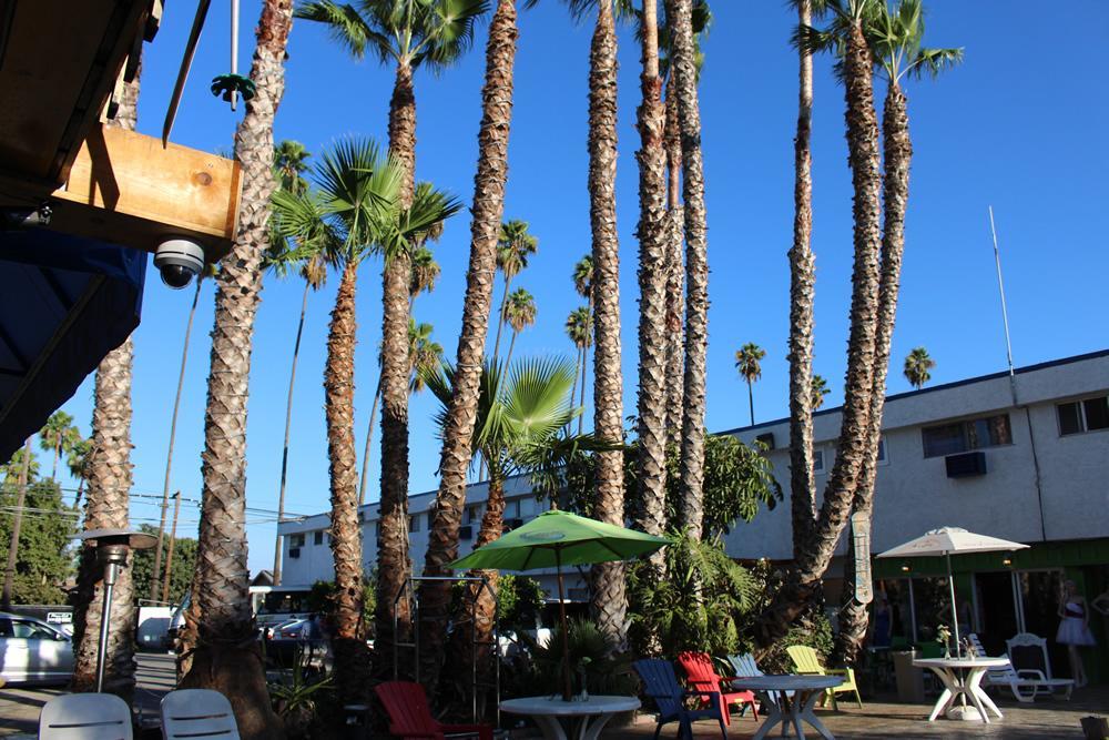 Tradewinds Airport Hotel Inglewood Exterior photo