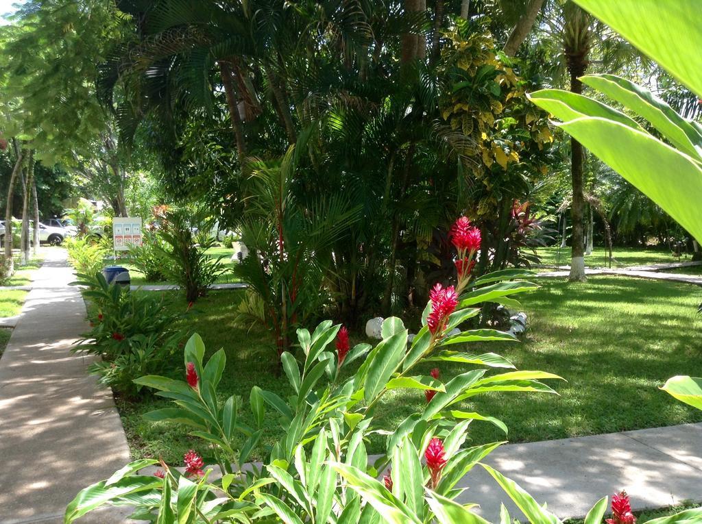 Samara Beach Hotel Exterior photo