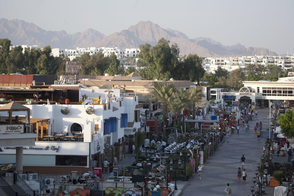 Camel Dive Club & Hotel - Boutique Hotel Sharm el-Sheikh Exterior photo