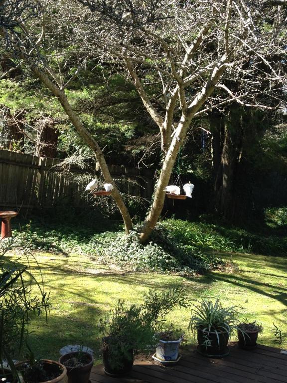 Woodford Of Leura Hotel Exterior photo