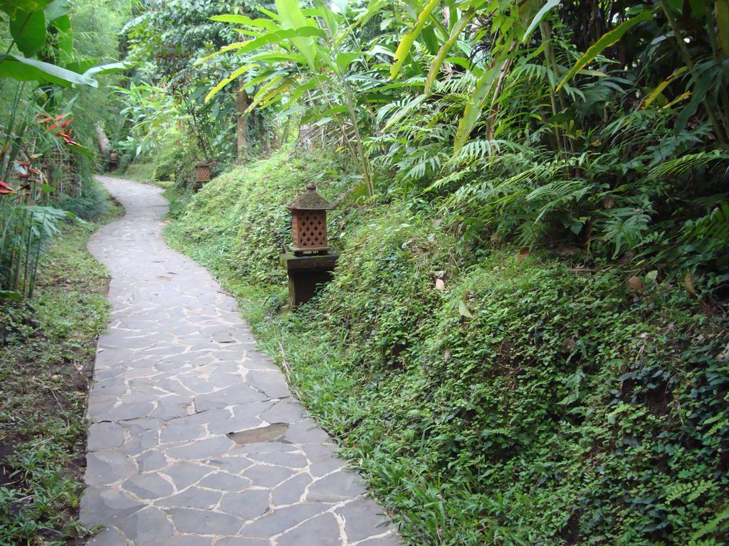 Sayan Terrace Resort Ubud  Exterior photo