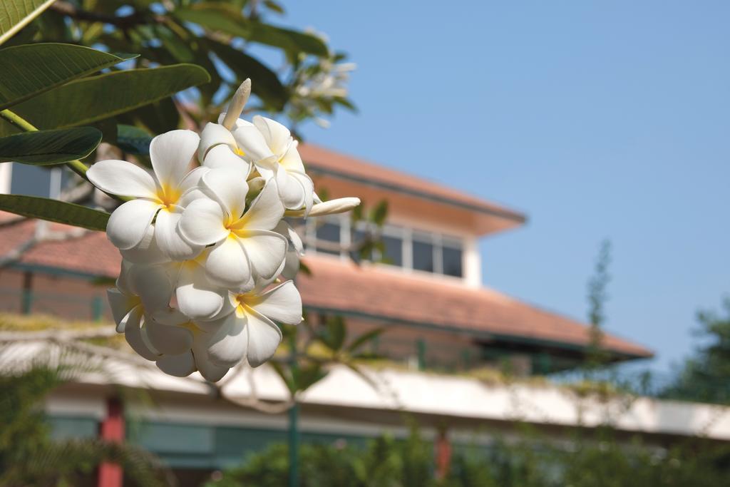 The Qamar Paka, Terengganu Hotel Exterior photo