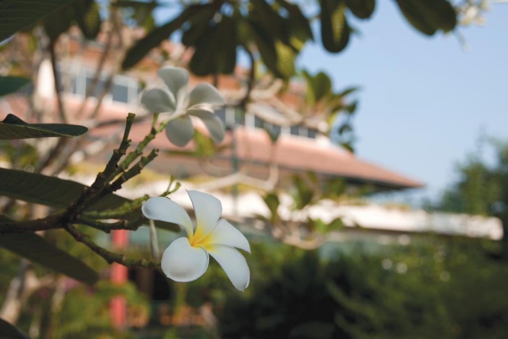 The Qamar Paka, Terengganu Hotel Exterior photo