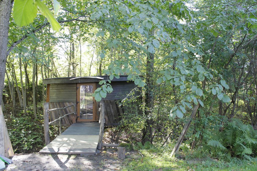 Round House Apartment Sigulda Room photo