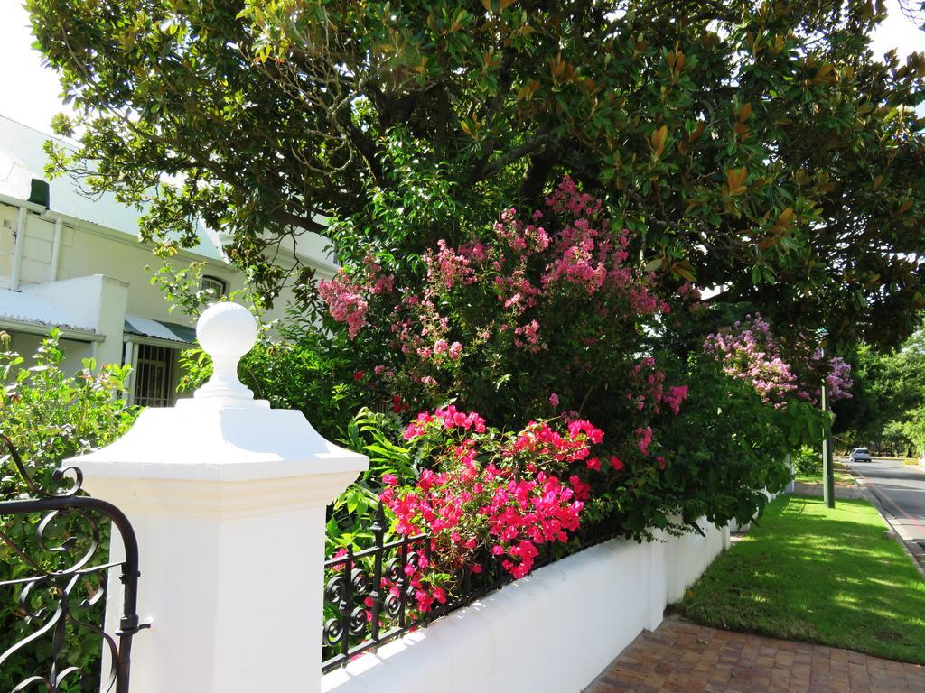 Fynbos Villa Guest House Stellenbosch Exterior photo