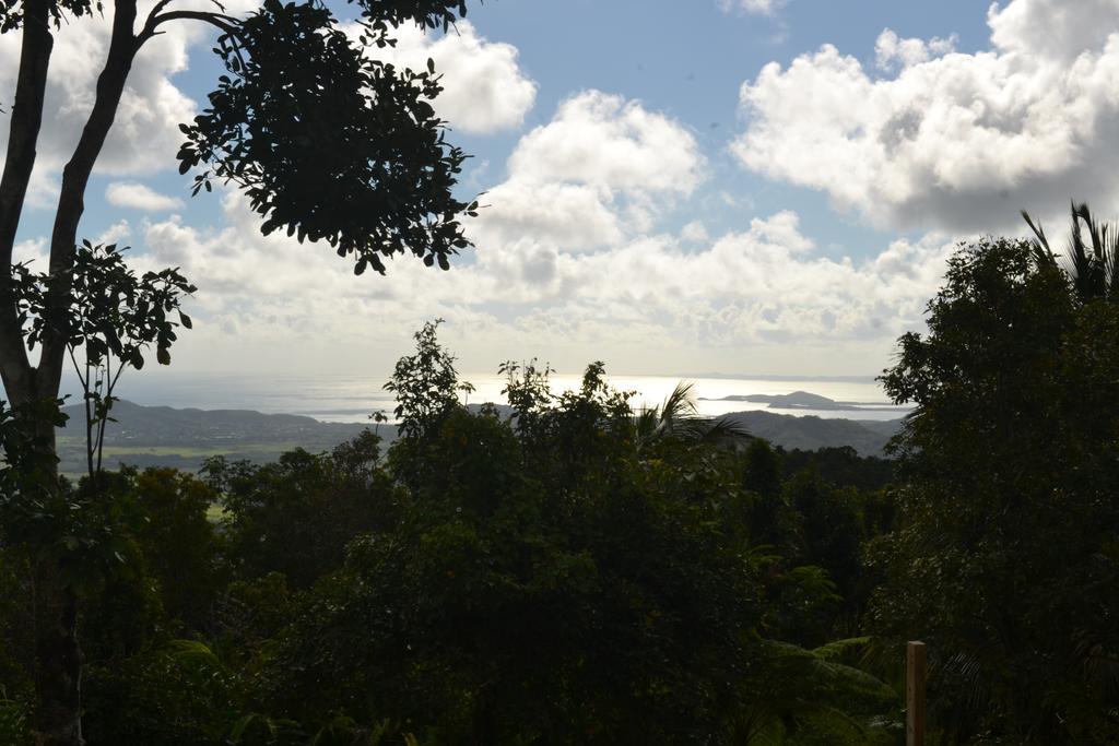 El Hotelito At The Rainforest Experience Farm Fajardo Exterior photo