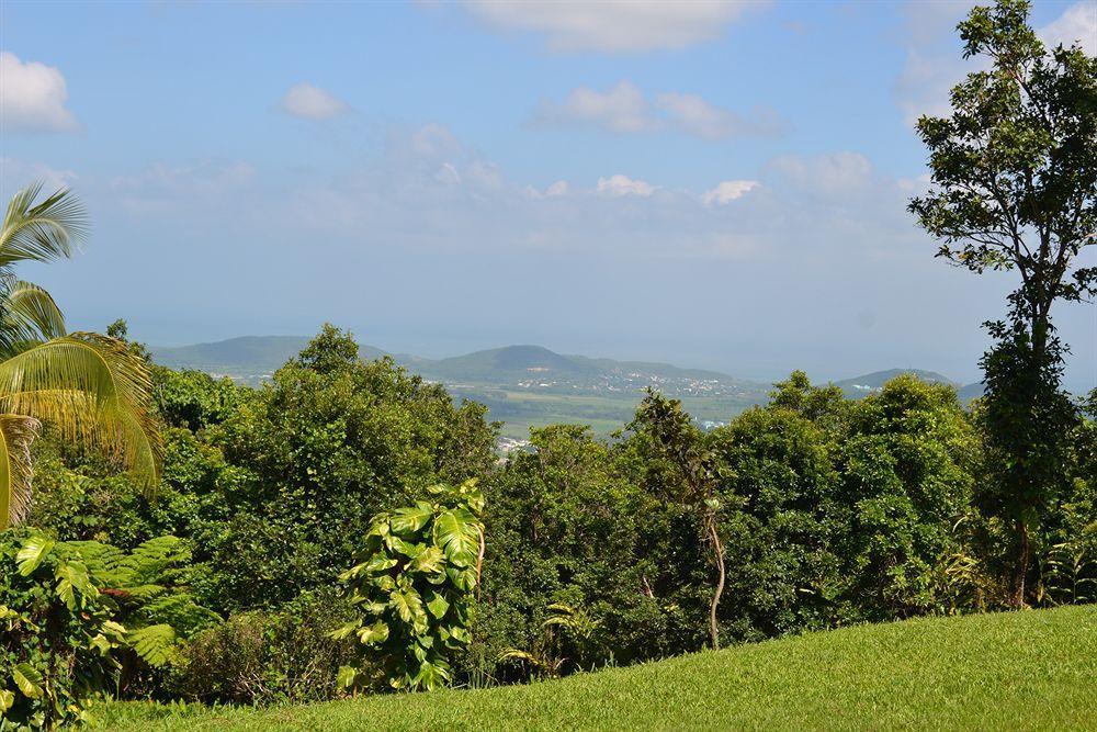 El Hotelito At The Rainforest Experience Farm Fajardo Exterior photo