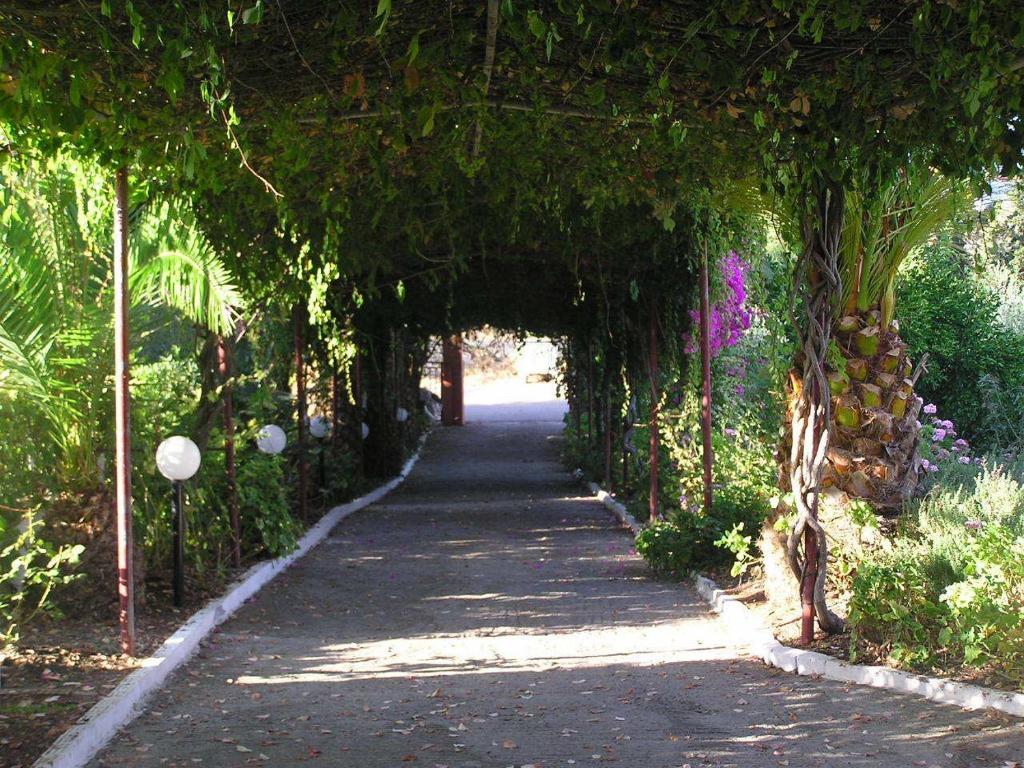 Knossos Aparthotel Panormos  Exterior photo