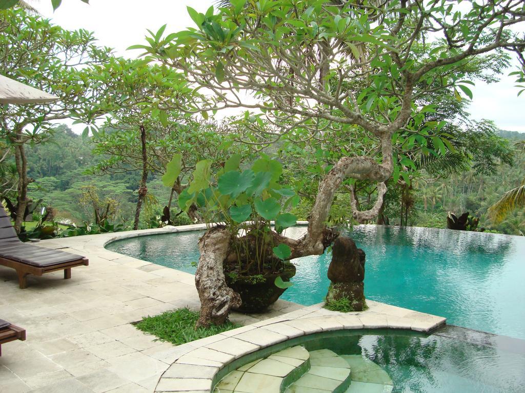 Sayan Terrace Resort Ubud  Room photo