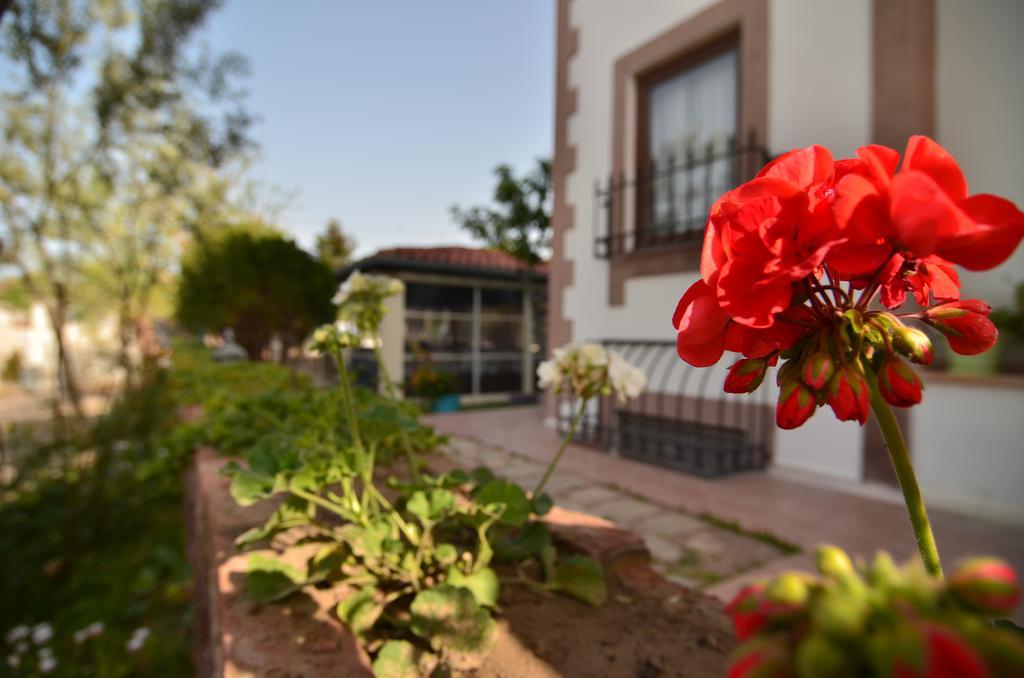 Cunda Nesos Hotel Ayvalik Exterior photo