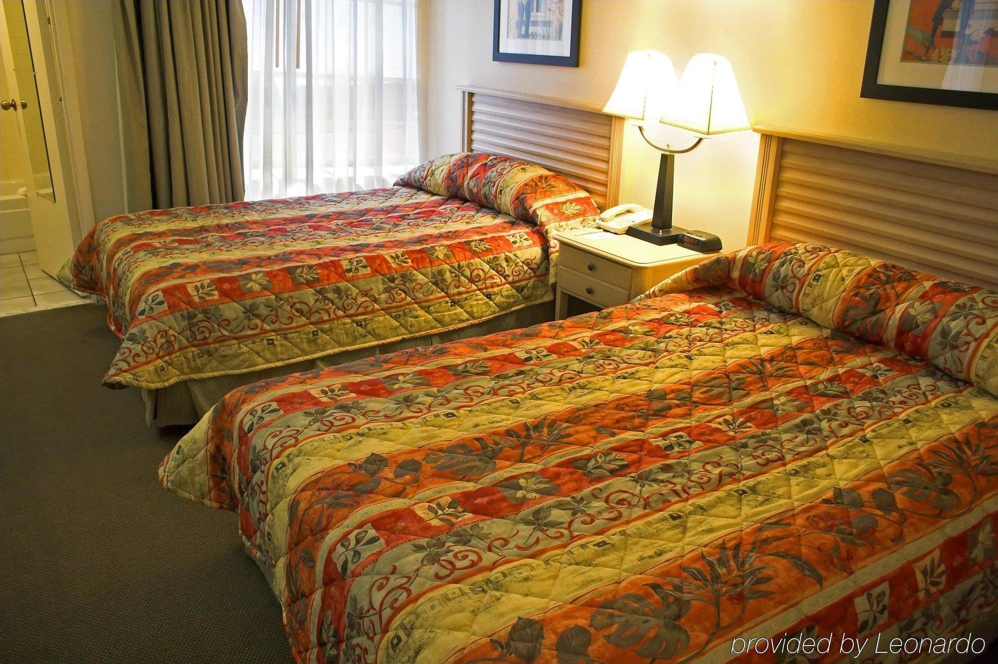 Baymont By Wyndham Tampa Near Busch Gardens Hotel Room photo