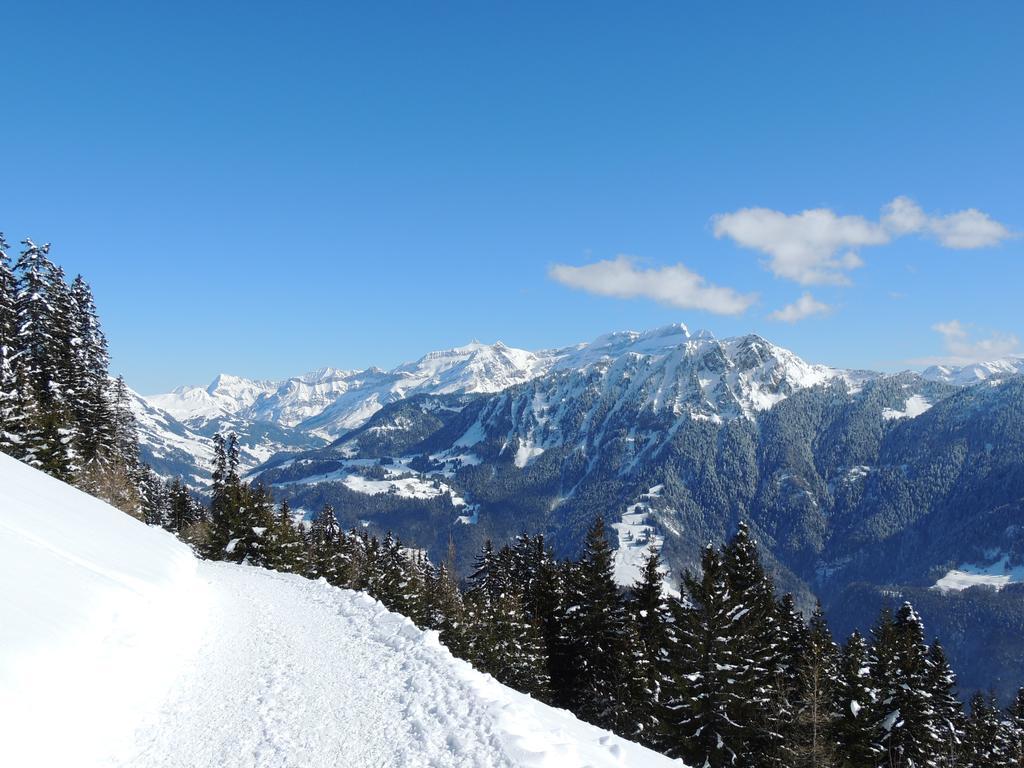 Alpine Classic Hotel Leysin Exterior photo