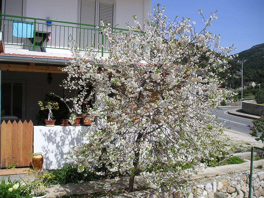 Apartments Teo Hvar Town Exterior photo