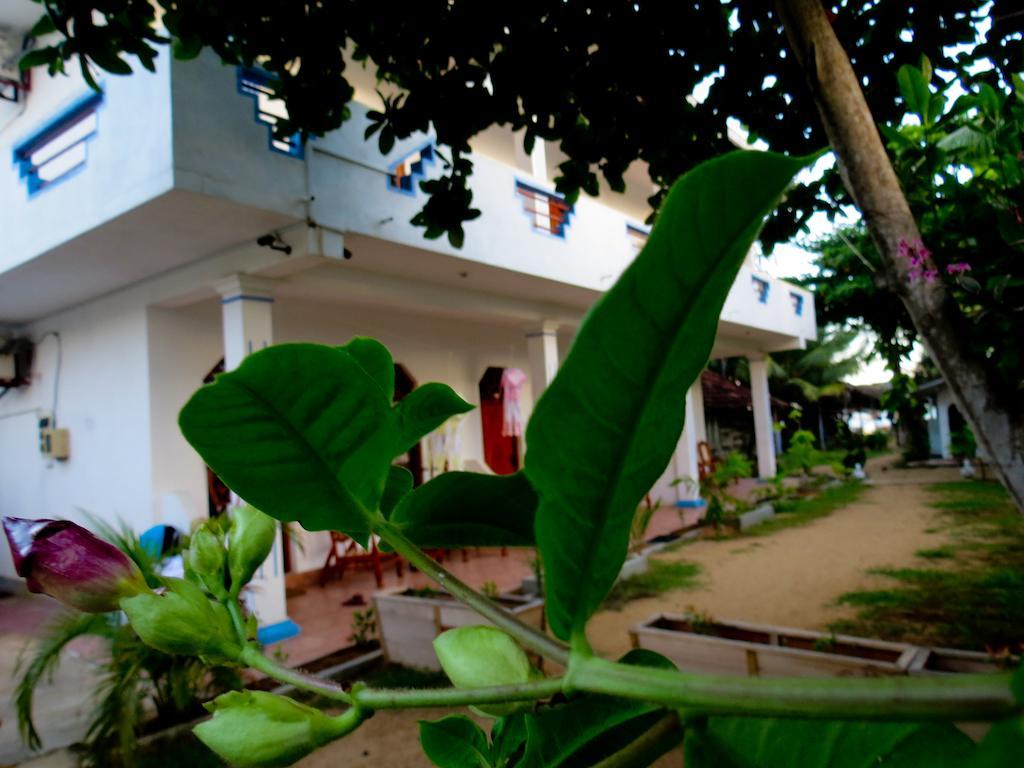 Blue Moon Hotel Hikkaduwa Exterior photo