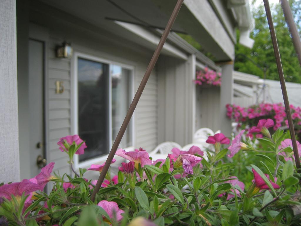 Golden Sands Resort Lake George Exterior photo