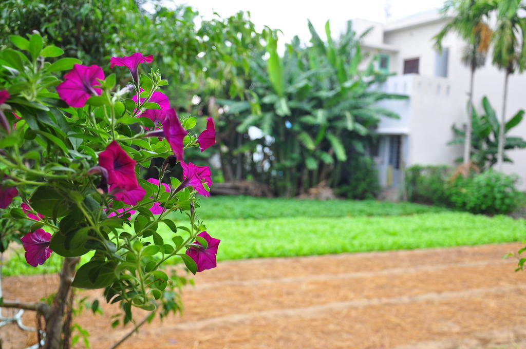 Petunia Garden Homestay And Hostel Hoi An Exterior photo