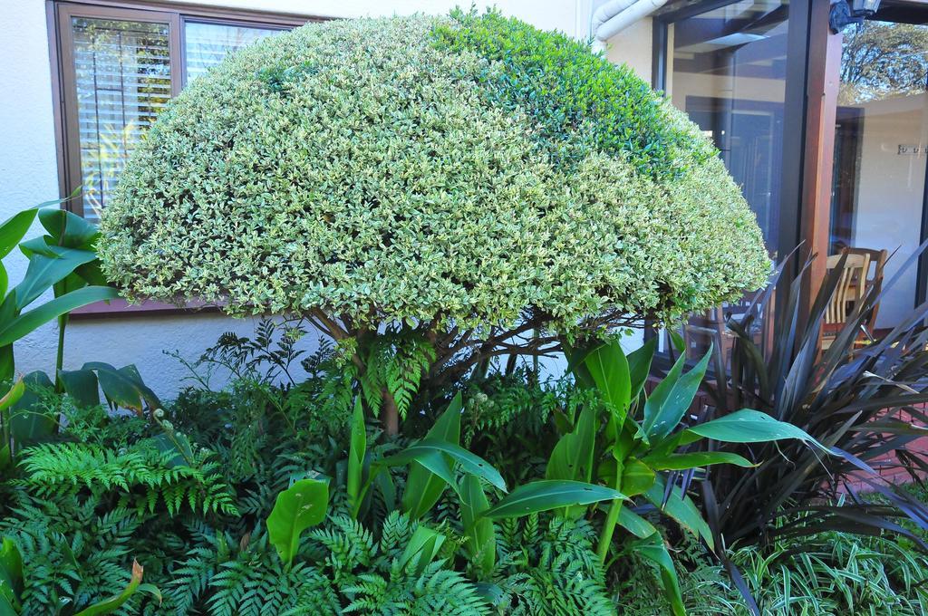 Bradclin House Apartment Cape Town Exterior photo