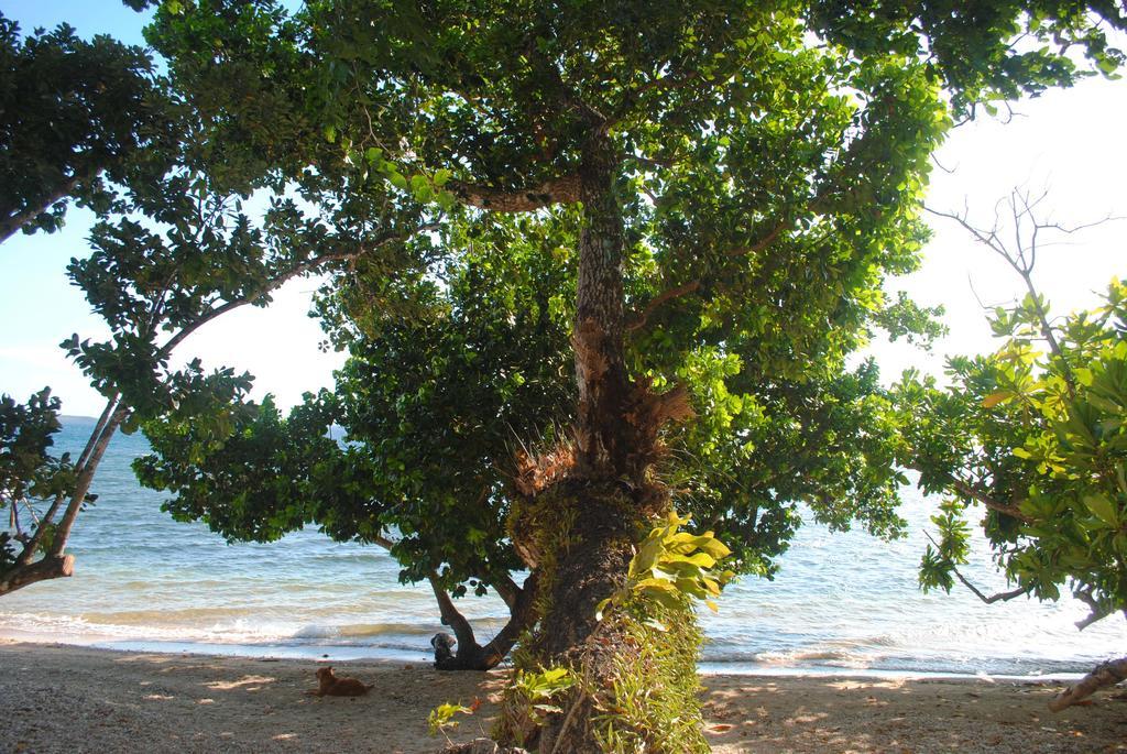 Alam Indah Busuanga Beach And Villas Exterior photo