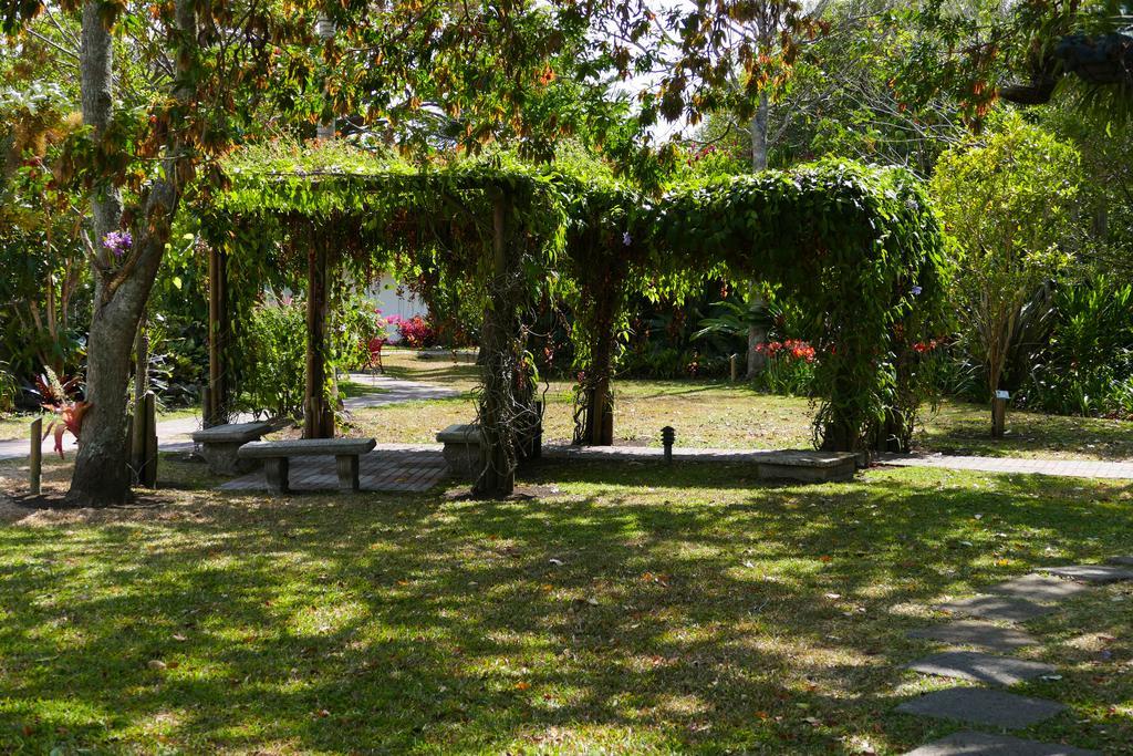 Hotel Bougainvillea San Jose Santo Domingo De Heredia Exterior photo