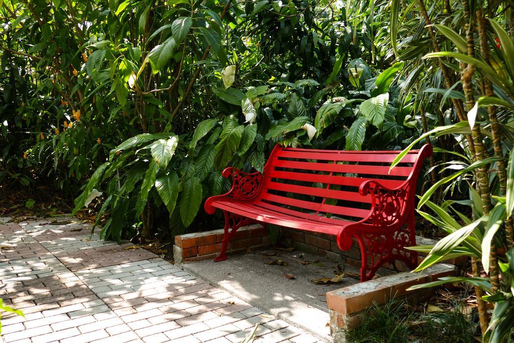 Hotel Bougainvillea San Jose Santo Domingo De Heredia Exterior photo