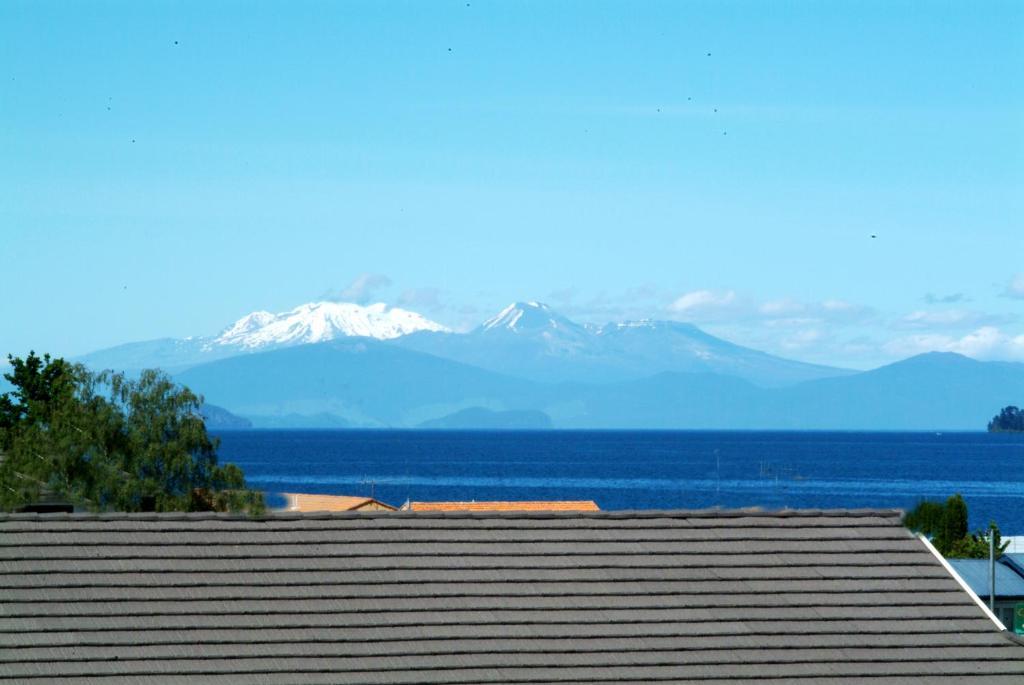 Tiki Lodge Backpackers Taupo Room photo