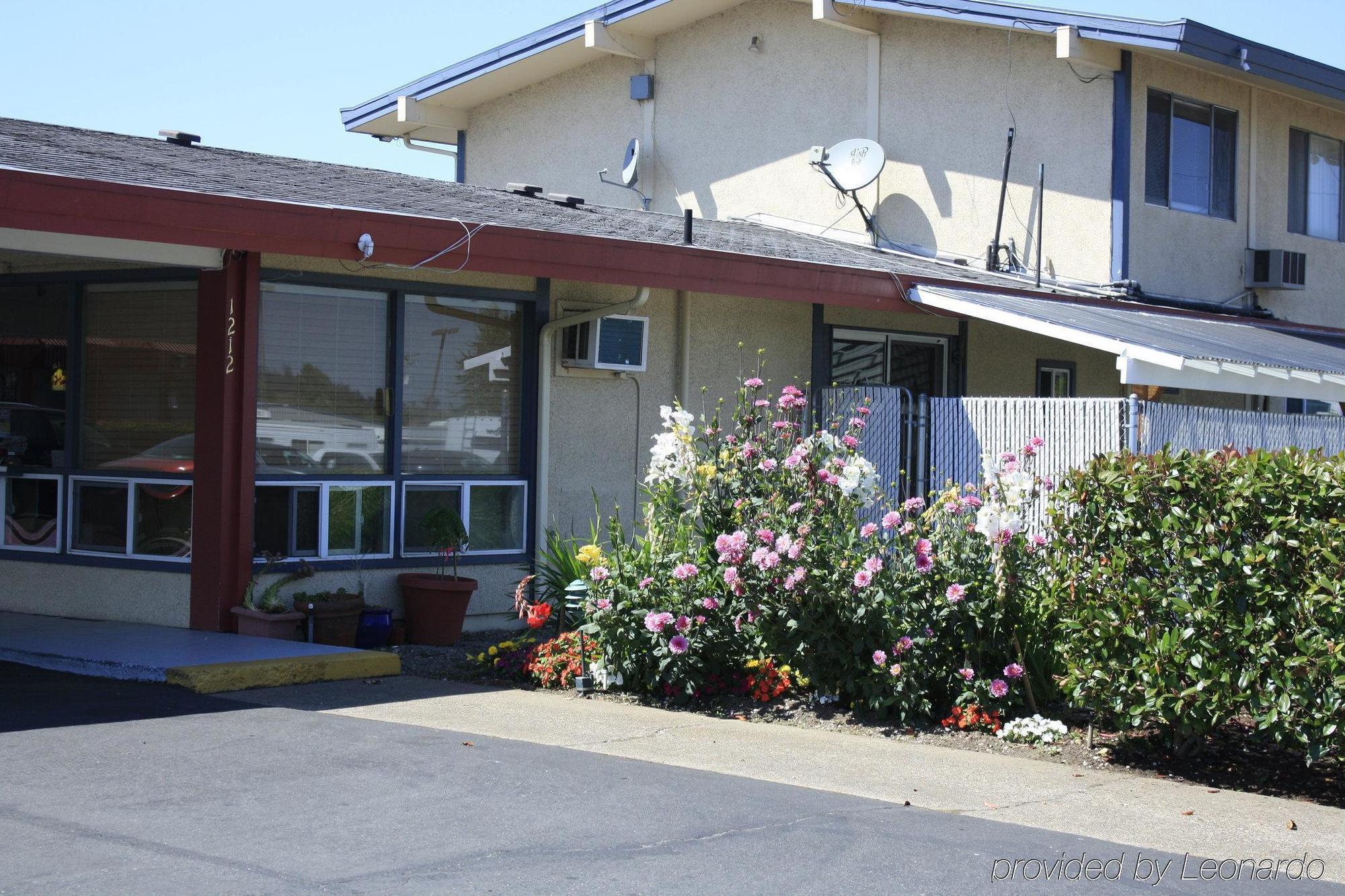 Rodeway Inn Albany Exterior photo