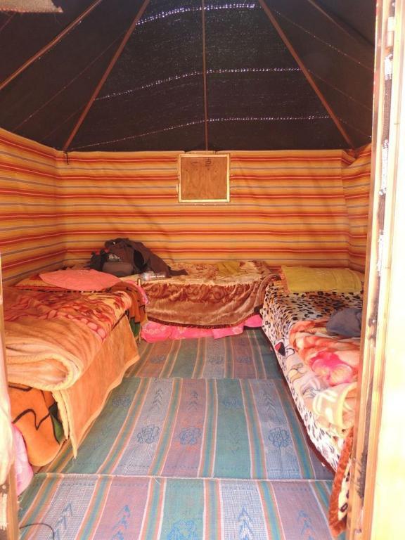 Bedouin Whispers Camp Apartment Wadi Rum Room photo