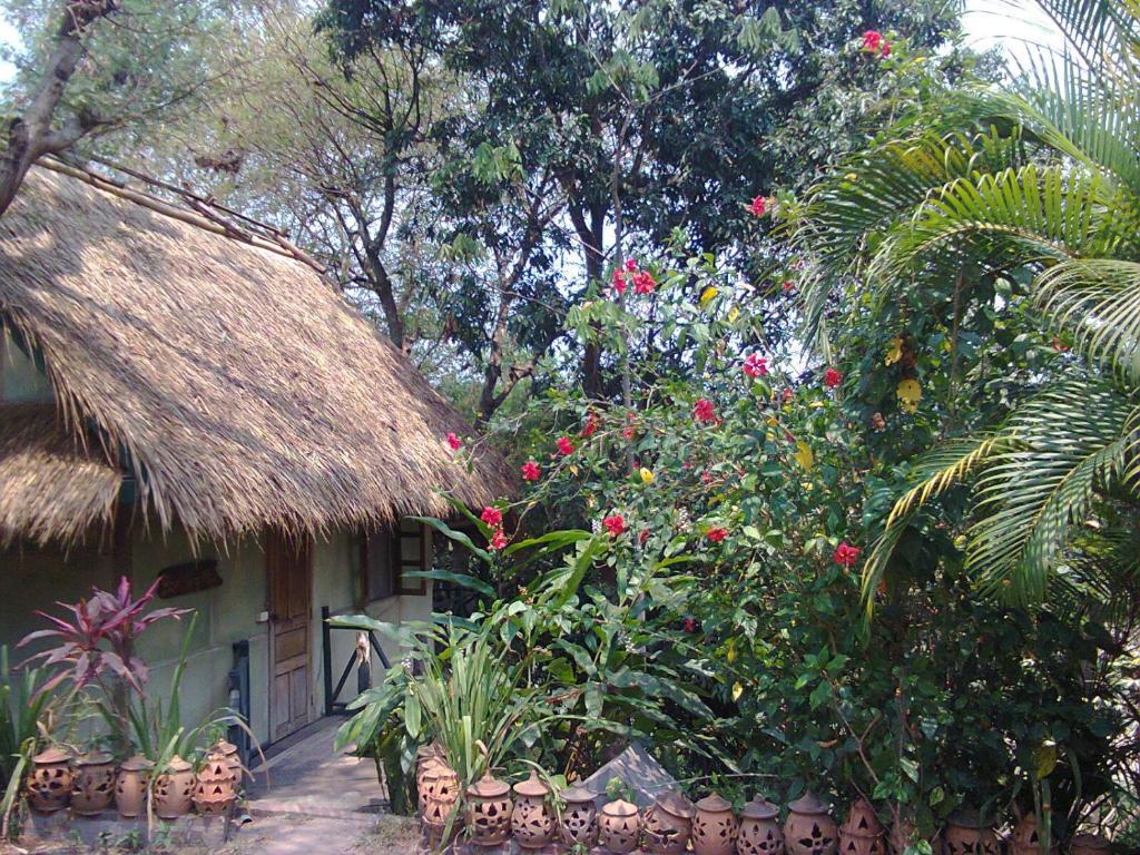 Nam Songsai Eco Lodge Luang Prabang Exterior photo