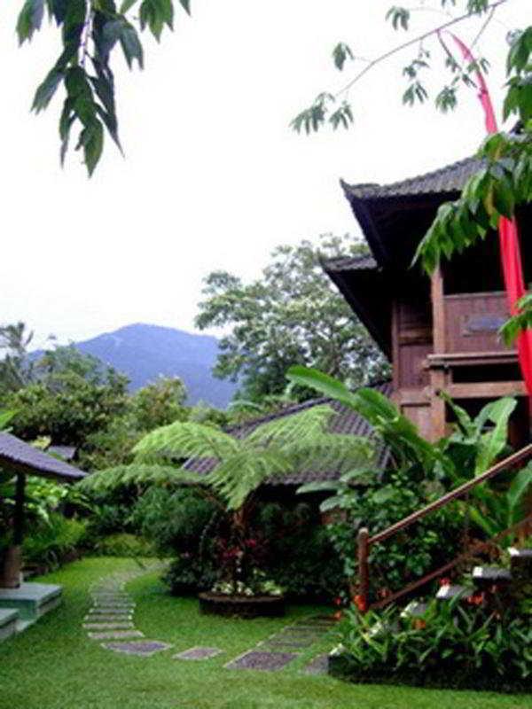 Bali Mountain Retreat Hotel Jatiluwih Exterior photo