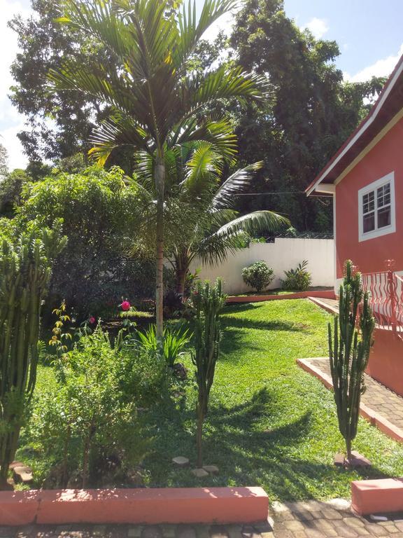 Polish Princess Guest House Port Antonio Exterior photo