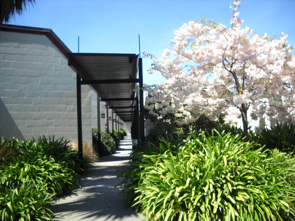 Gothic Heights Motel Christchurch Exterior photo