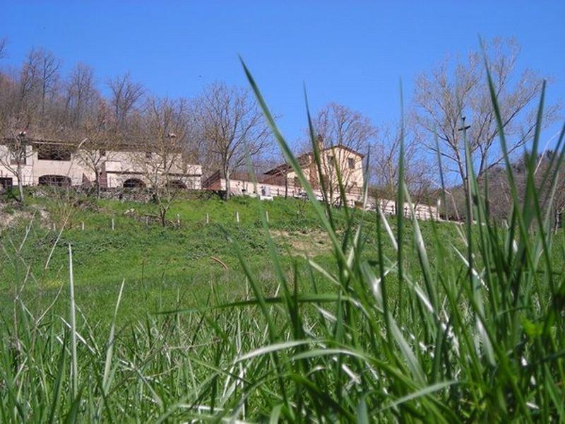 Agriturismo La Carbonaia Villa Vicchio Exterior photo