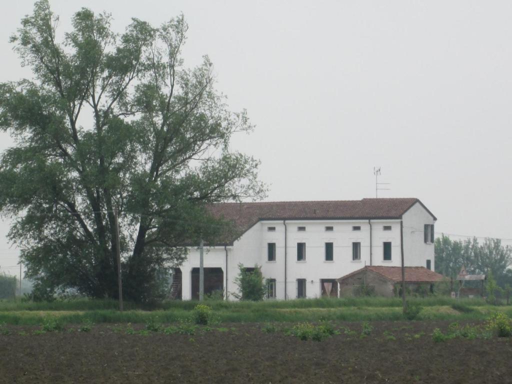 B&B Casa Pascolone Pegognaga Exterior photo