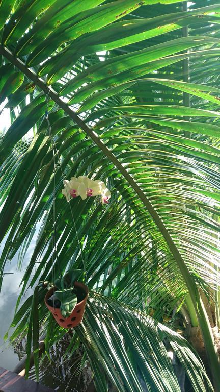 Gia Bao Phat Homestay Hoi An Exterior photo