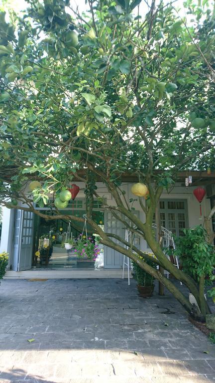 Gia Bao Phat Homestay Hoi An Exterior photo