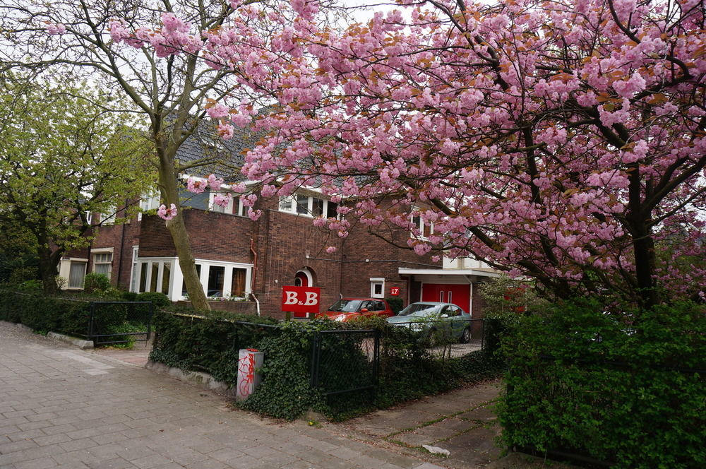 Xaviera'S Bed And Breakfast Amsterdam Exterior photo