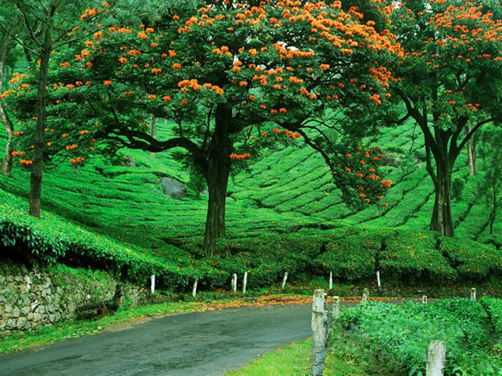 Grand Plaza Hotel Munnar Exterior photo