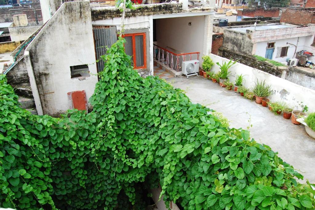 Hotel Sai Palace Walking Distance From Taj Mahal--View Of Taj Mahal Agra  Exterior photo