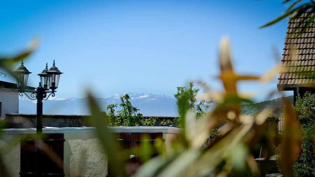 Le Castel De Larralde Hotel Assat Exterior photo