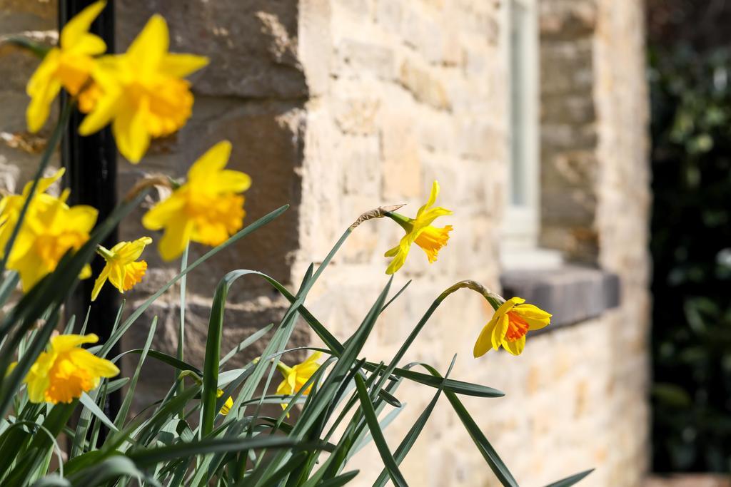 Stratton House Hotel & Spa Cirencester Exterior photo