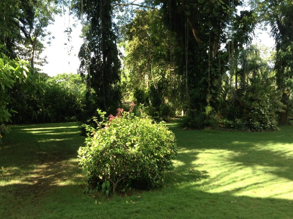 Balay Tuko Garden Inn Puerto Princesa Exterior photo